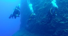dive_pic.jpg