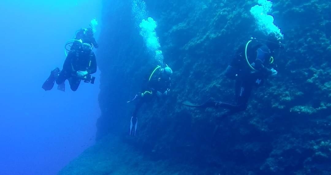 dive_pic.jpg