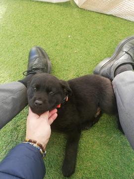 Click for Brunoboy profile