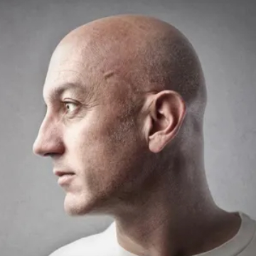 Click for Calicanto profile