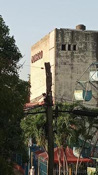 Click for Cristi profile