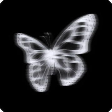 Main picture