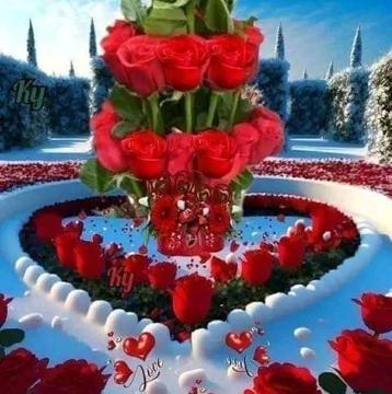 Click for YG2104 profile