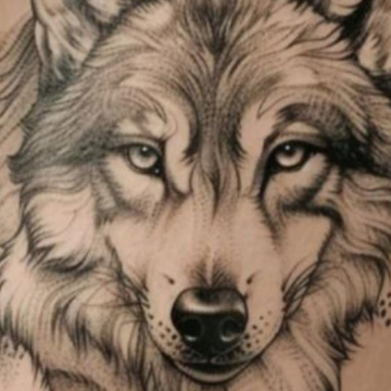 Main picture